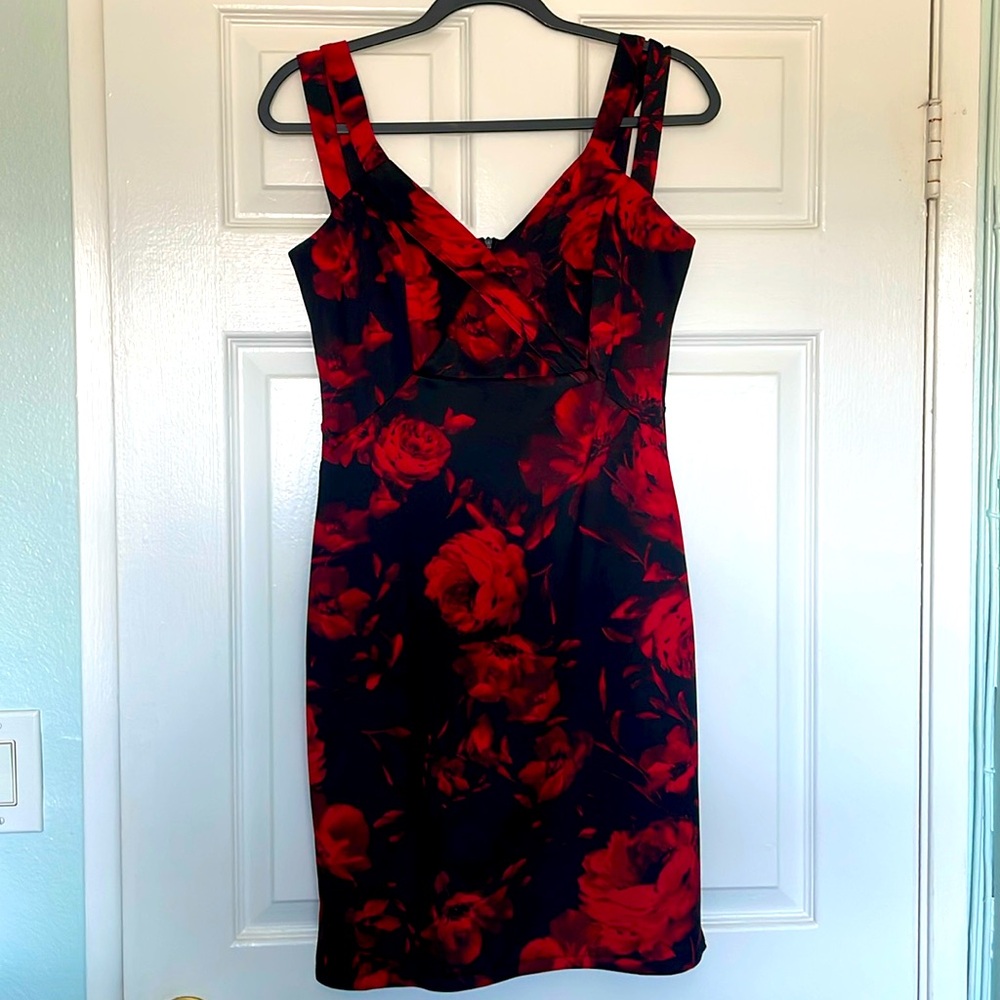 Enfocus Studio Red & Black Rose Floral Crisscross Sheath Dress (Size 8)